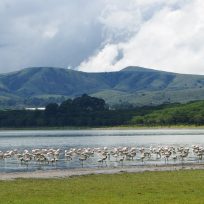 Lake Naivasha